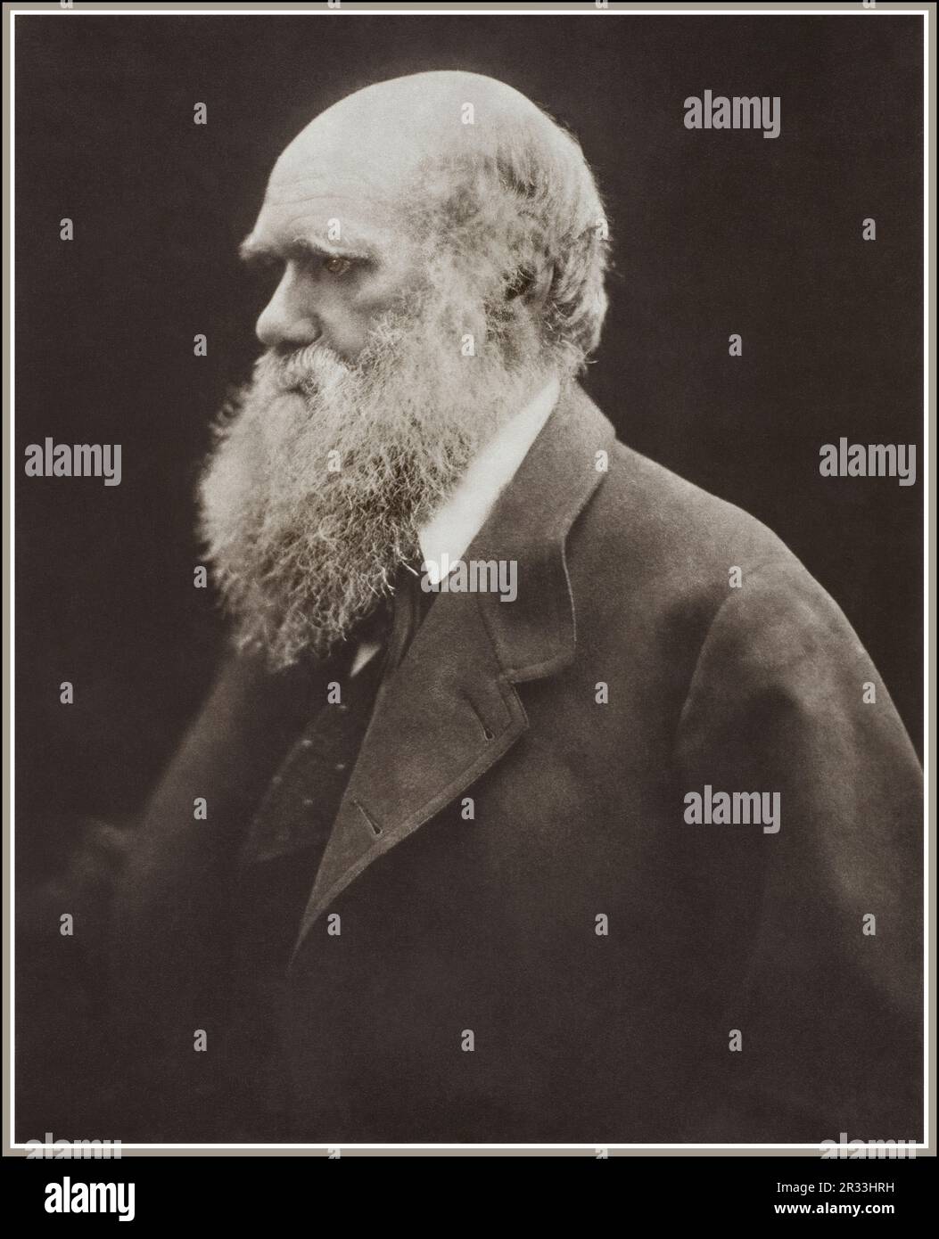 Portrait de Charles Darwin par la célèbre photographe victorienne Julia Margaret Cameron, vers 1868. Banque D'Images