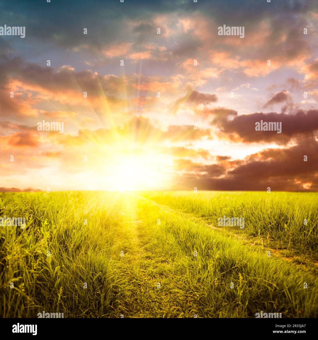 Paysage rural Banque D'Images