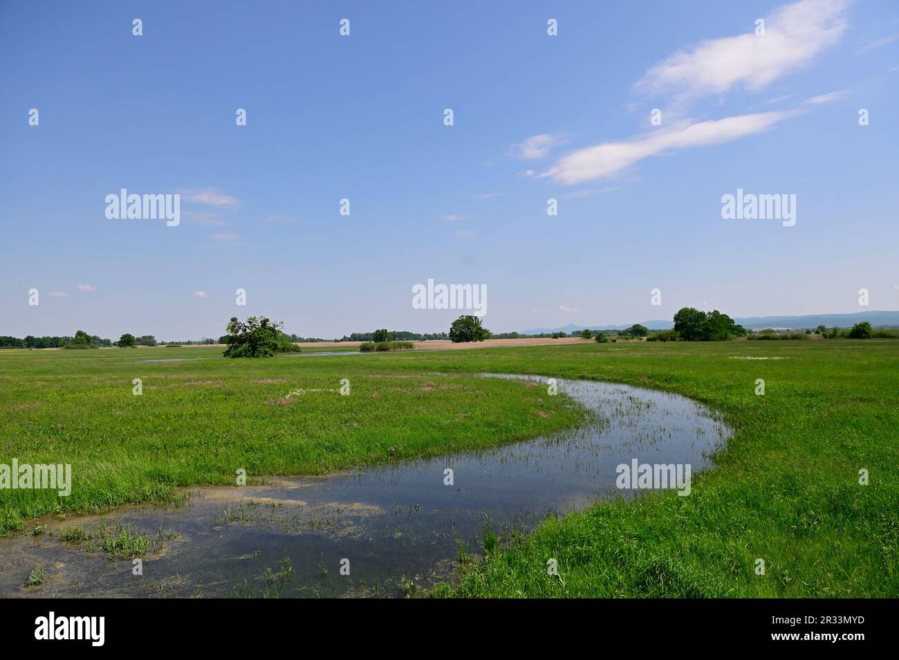 Slovaquie. Côté slovaque de la rivière March Banque D'Images