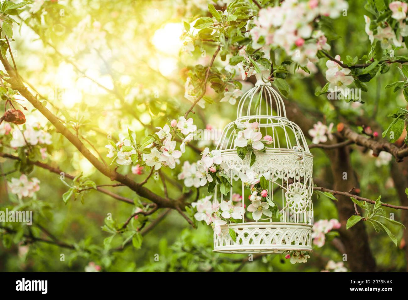 Cage à oiseaux - décor romantique Banque D'Images