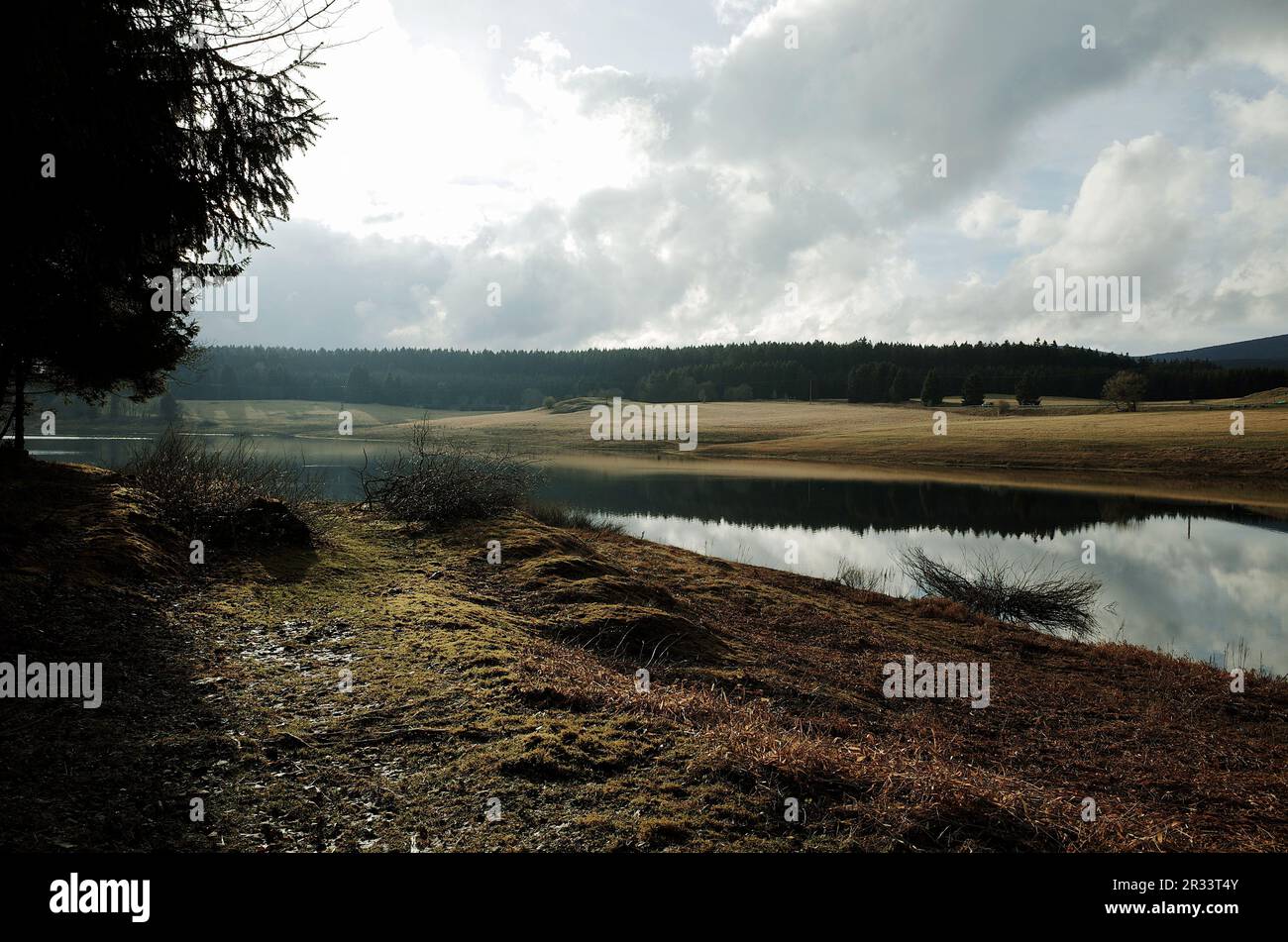 Un lac dans les montagnes de Harz au début du printemps Banque D'Images