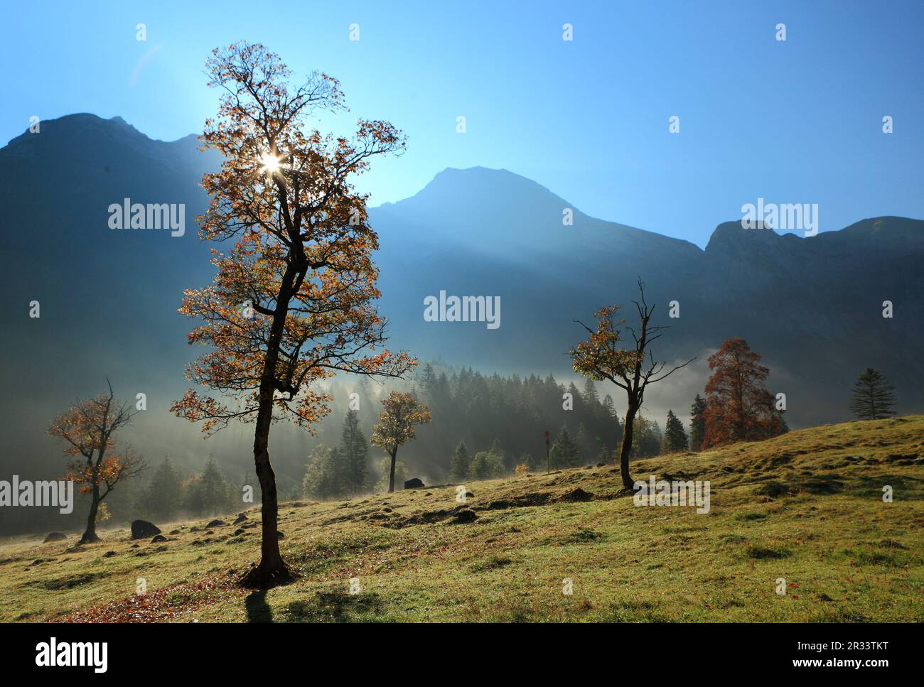 Début de l'automne à Ahornboden, Tyrol, Tyrol Banque D'Images