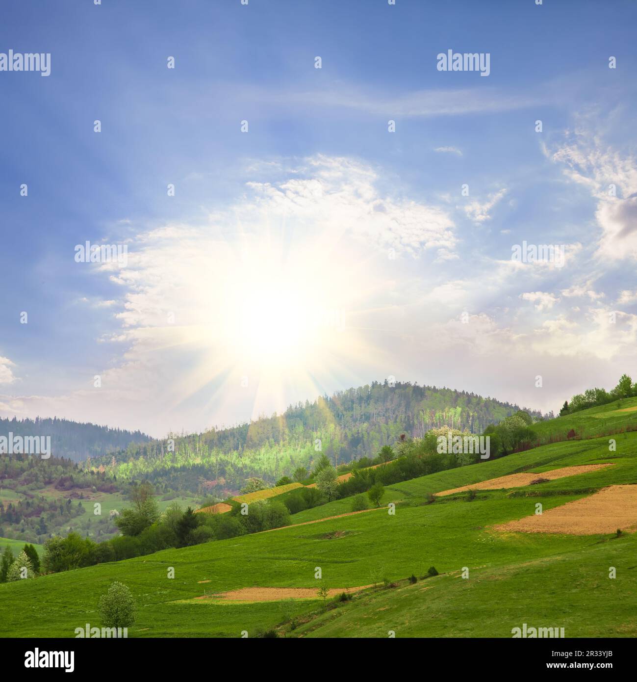 Les champs en montagne Banque D'Images