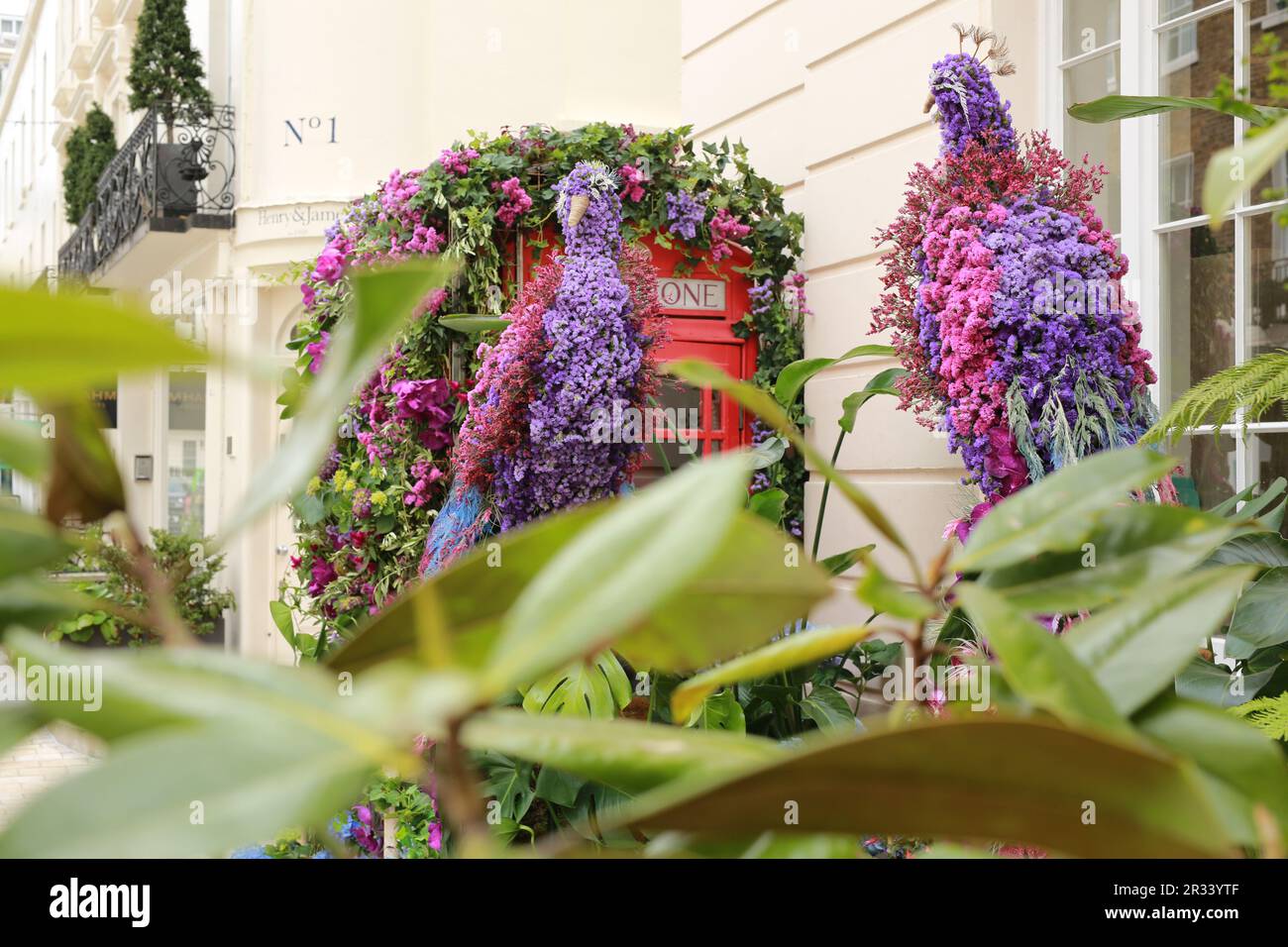 Londres, Royaume-Uni. 22 mai 2023. Merveilles of the Wild by Neill Strain Floral Couture à Motcomb Street. Le festival Belgravia in Bloom aura lieu à partir de 22-29 mai. De retour pour la huitième fois avec le thème 'Into the Wild', le festival verra Belgravia s'animer avec des installations florales incroyables. Les installations florales locales coïncident avec le RHS Chelsea Flower Show annuel. Credit: Waldemar Sikora/Alay Live News Banque D'Images