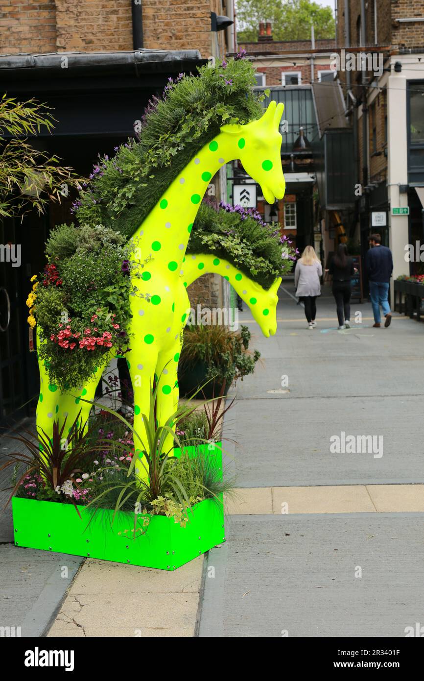 Londres, Royaume-Uni. 22 mai 2023. Le festival Belgravia in Bloom aura lieu à partir de 22-29 mai. De retour pour la huitième fois avec le thème 'Into the Wild', le festival verra Belgravia s'animer avec des installations florales incroyables. Les installations florales locales coïncident avec le RHS Chelsea Flower Show annuel. Credit: Waldemar Sikora/Alay Live News Banque D'Images