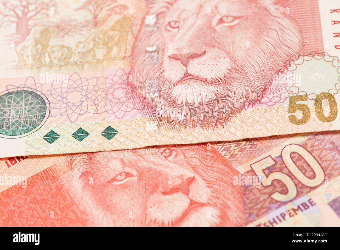 Argent sud-africain 50 rand banknote. Banque D'Images