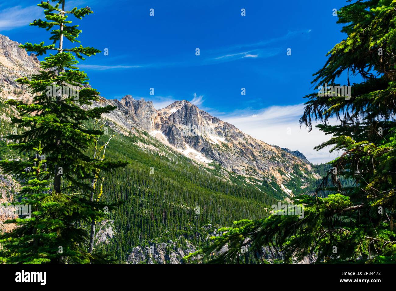 Belle vue de l'après-midi du parc national de North Cascades depuis Washington Pass, Highway 20, Washington USA Banque D'Images