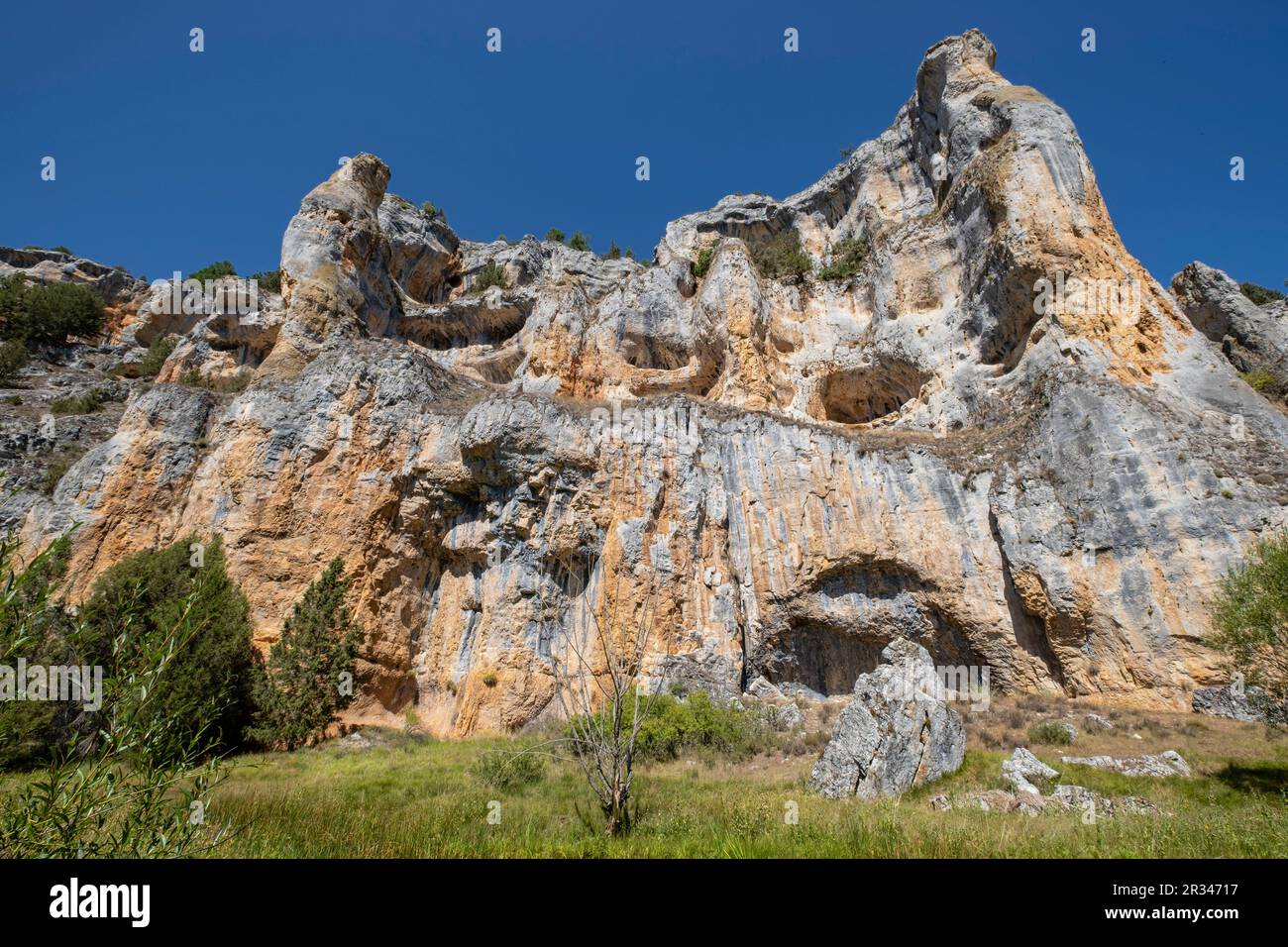 Zona de reserva Castillo Billido, Parque Natural del Cañón del Río Lobos, Soria, Comunidad Autónoma de Castilla, l'Espagne, l'Europe. Banque D'Images