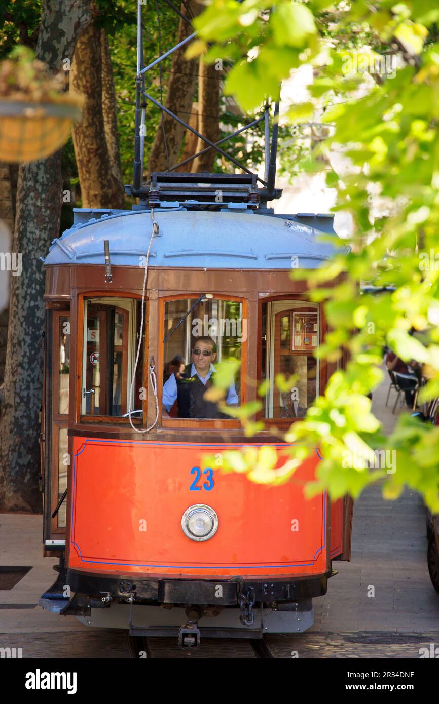 Tramway portuaire circulant entre les arbres, Soller.Mallorca.Iles Baléares. Espagne. Banque D'Images