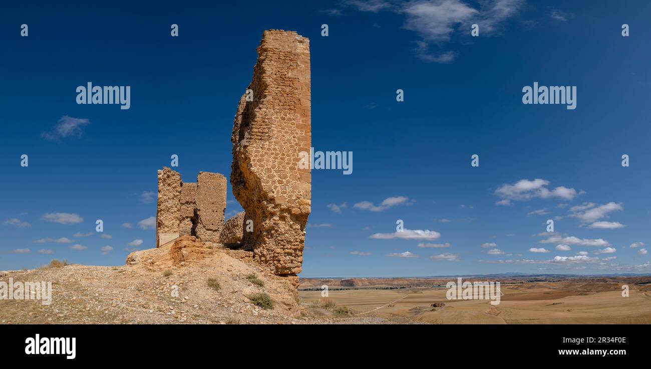 Castillo de Montuenga de Soria, Castillo de los Padilla, Montuenga de Soria, Comarca de Arcos de Jalón, Soria, Comunidad Autónoma de Castilla y León, Espagne, Europe. Banque D'Images