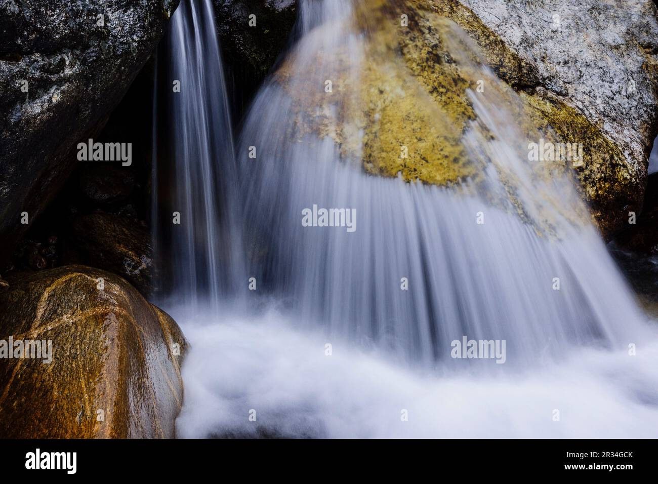 Toktok.Parc national de Sagarmatha, Khumbu Himal, Népal, Asie. Banque D'Images