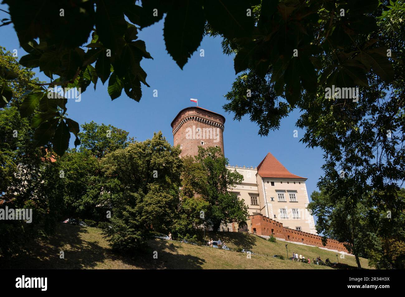 castillo de Wawel, Cracovie, Polonia, europe de l'est. Banque D'Images