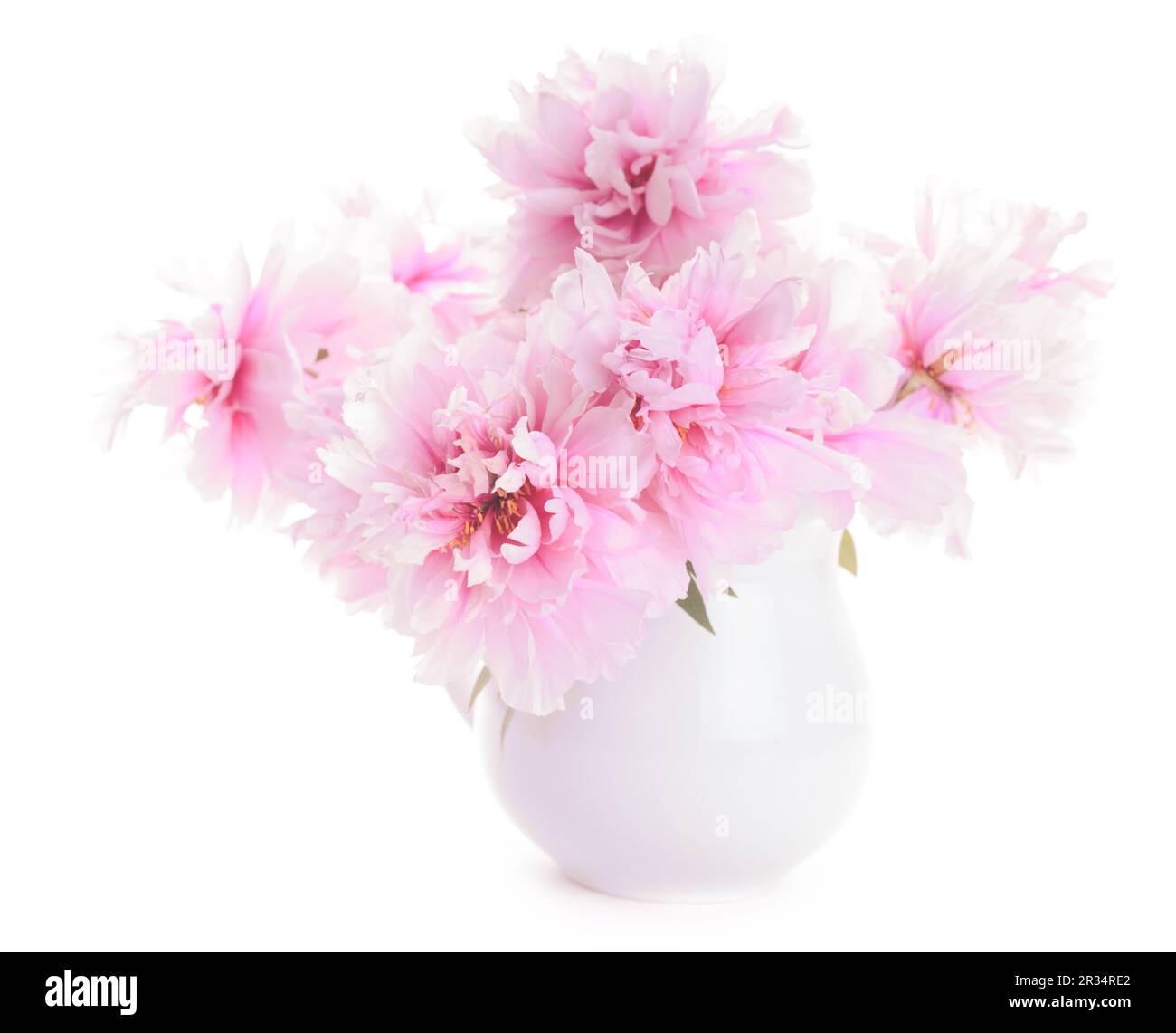 Les Pivoines rose dans un vase Banque D'Images