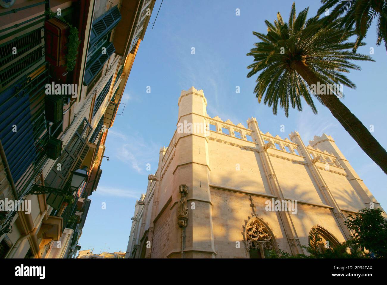 La Llotja , siglo XV..Palma Mallorca.Islas Baleares. España. Banque D'Images