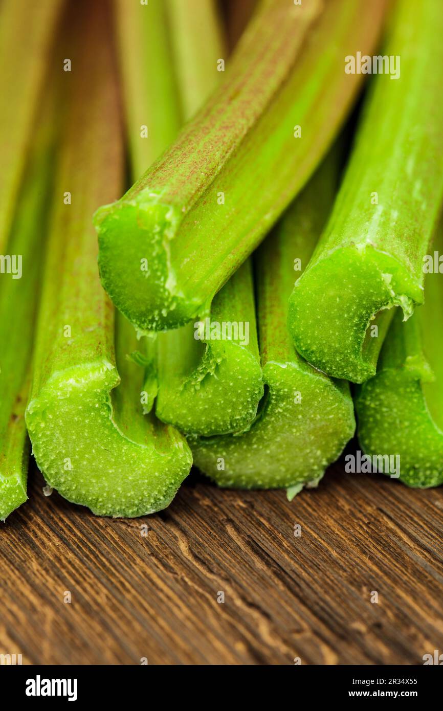 Rhubarbe Banque D'Images