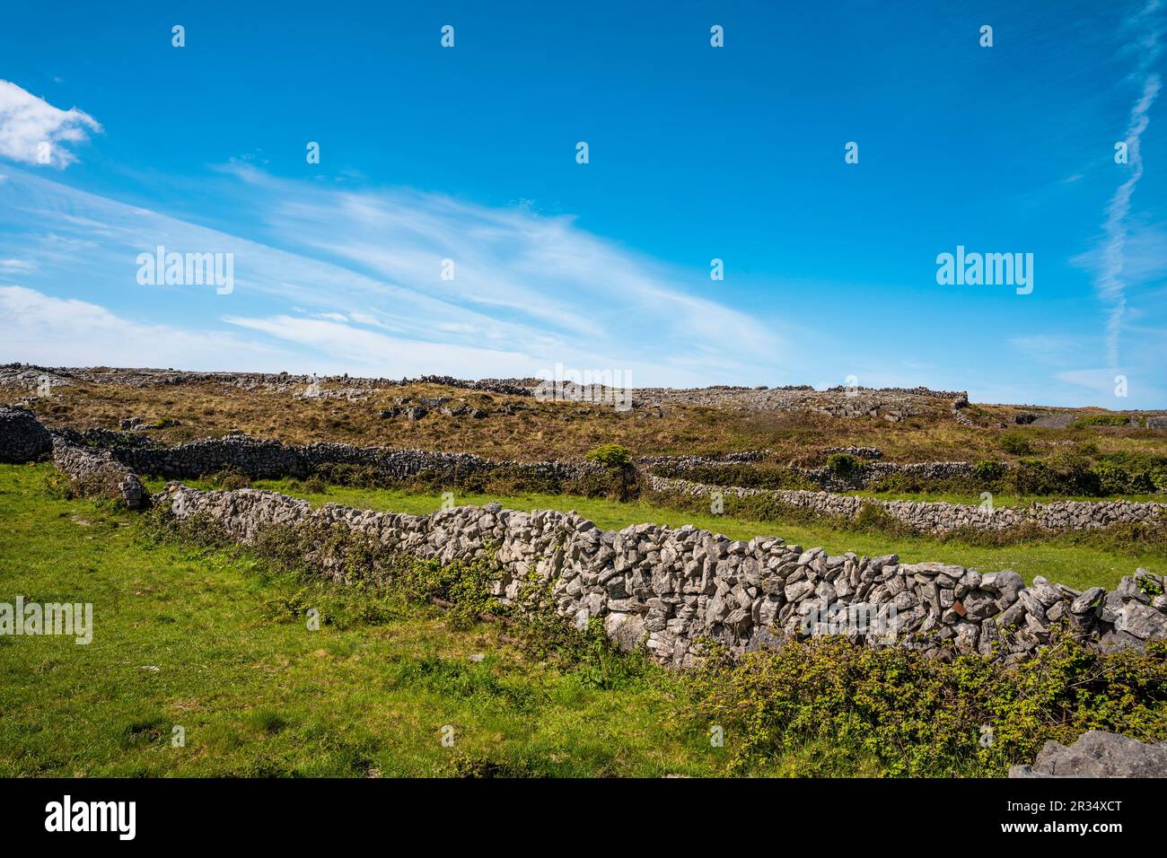 Paysage d'Inis Mór, ou Inishmore, la plus grande des îles d'Aran dans la baie de Galway, au large de la côte ouest de l'Irlande, avec des murs en pierre. Banque D'Images