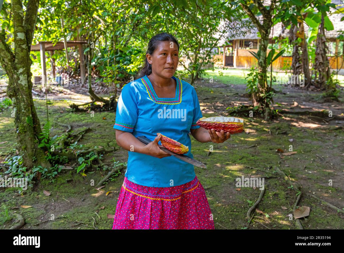Femme autochtone chichwa équatorienne vêtue de vêtements traditionnels avec des fruits de cacao en mains, parc national de Yasuni, forêt tropicale d'Amazone, Equateur. Banque D'Images