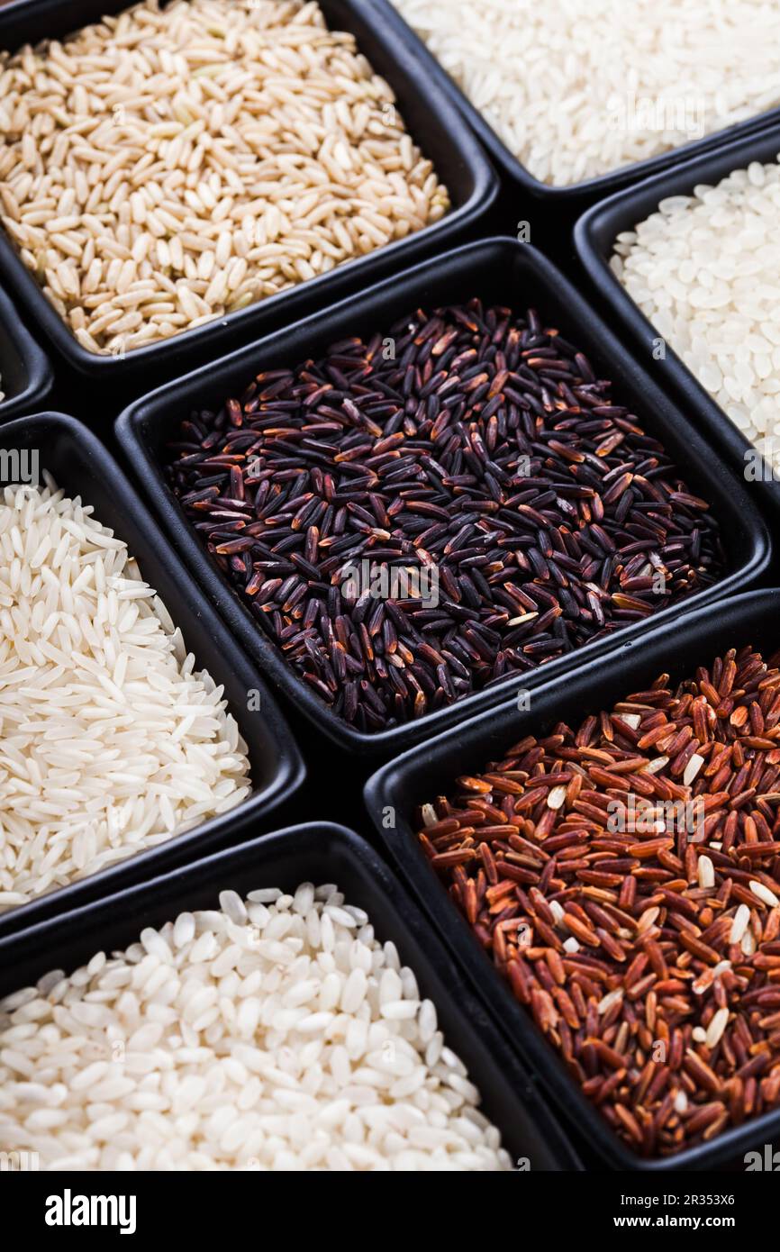 Types of rice Banque de photographies et d’images à haute résolution ...