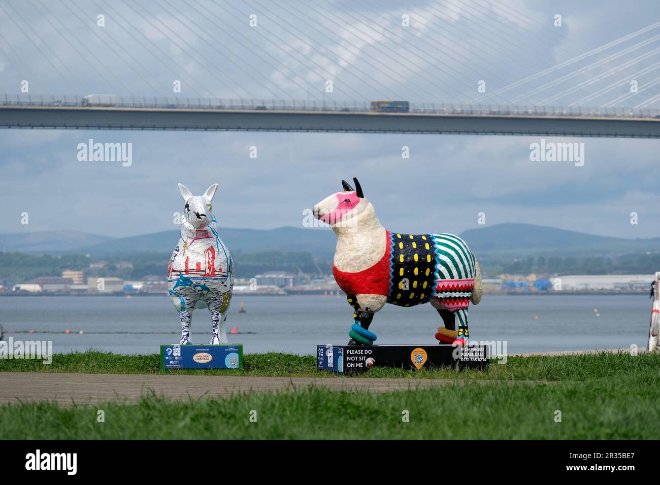 South Queensferry, Écosse, Royaume-Uni. 22nd mai 2023. La piste de moutons du spectacle Flock to the Show Sheep Trail est une piste d'art publique. La piste de moutons célèbre le retour des Championnats du monde de Sheep Sheep Shearing et de wolhandling de Golden Shears au Royal Highland Show du 22nd au 25th juin avec 38 sculptures de moutons colorées situées à travers Édimbourg et les Lothians. La seule fois où ils pourront être vus ensemble sera quand ils seront assemblés au Royal Highland Center pour le concours Golden Shears en juin, décoré par des artistes de partout au Royaume-Uni. Queensferry Crossing en toile de fond. Crédit : Craig Brown/Alay Live News Banque D'Images