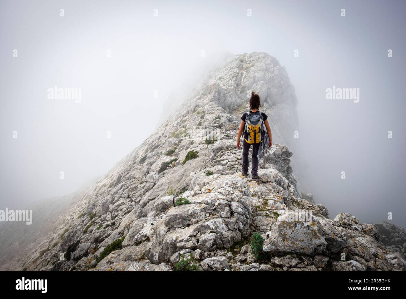 Penyal des Migdia, 1401 metros de altura, término municipal de Fornalutx, Paraje natural de la Serra de Tramuntana, à Majorque, îles Baléares, Espagne. Banque D'Images