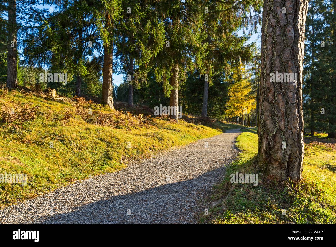 Sentier de randonnée Banque D'Images