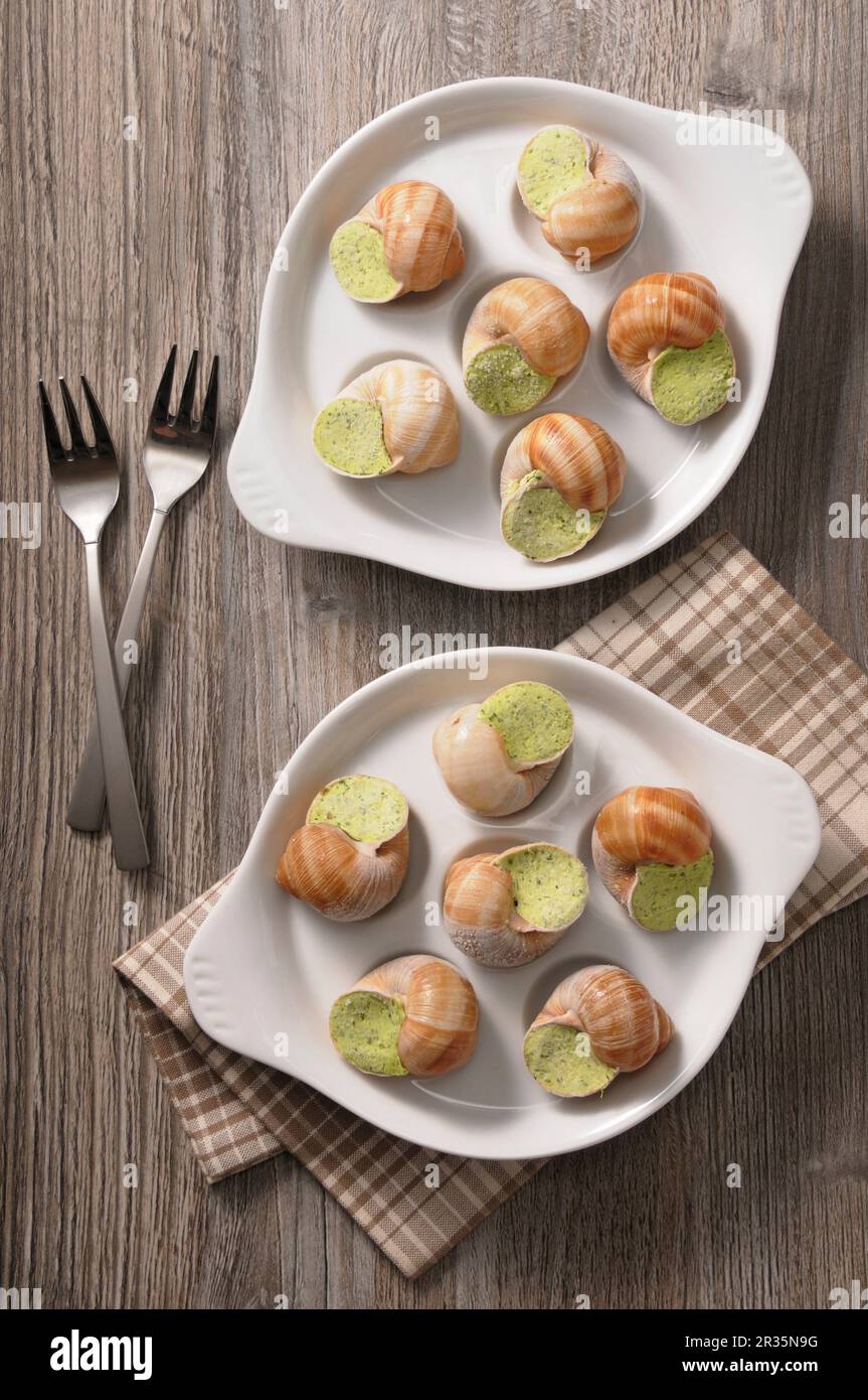 Escargots de Bourgogne préparés Banque D'Images