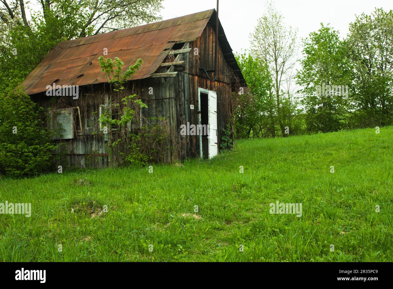 Vieille maison en été Banque D'Images