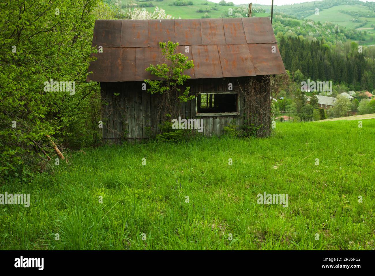 Vieille maison en été Banque D'Images