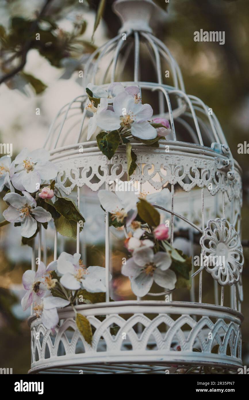 Cage à oiseaux - décor romantique Photo Stock - Alamy