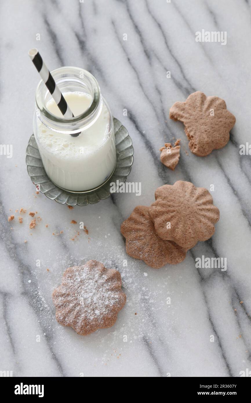 Biscuits au chocolat sans gluten avec sucre glace Banque D'Images