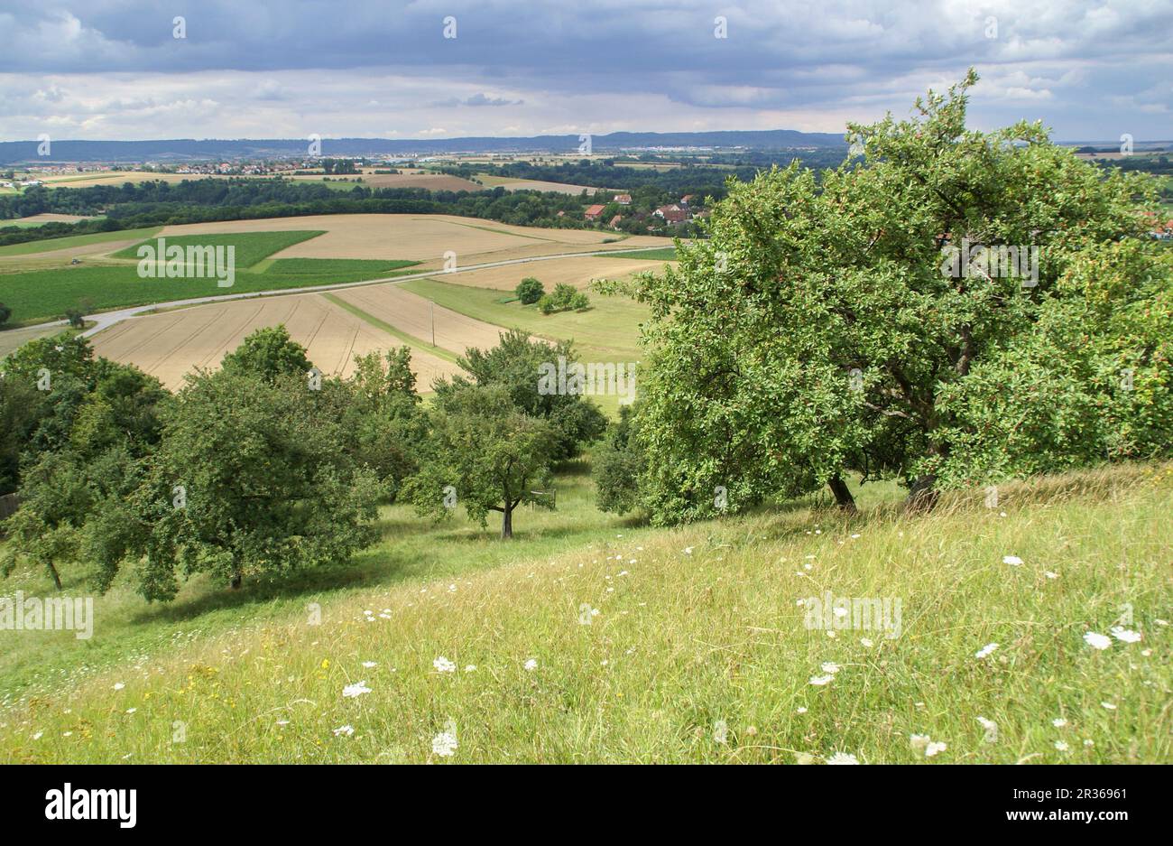 À proximité du paysage Michelbach, Bade-Wurtemberg, Allemagne Banque D'Images