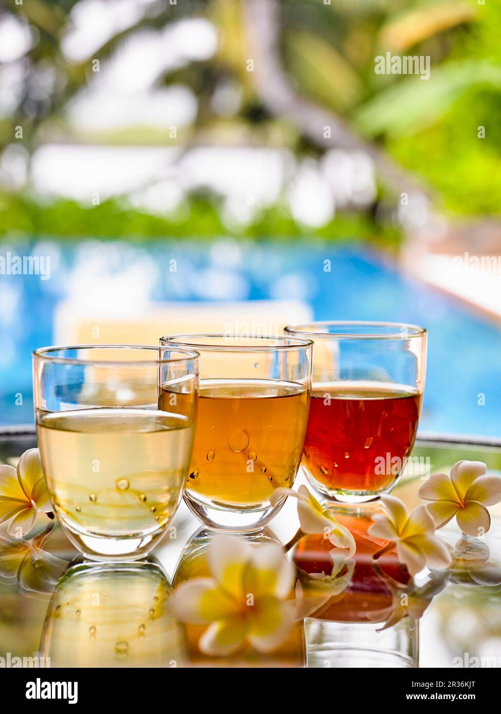 Divers verres de thé aux herbes Banque D'Images