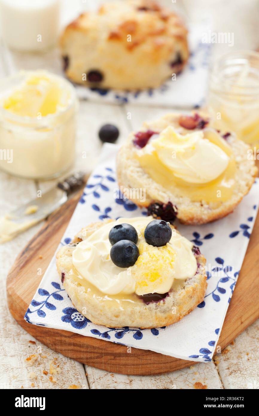 Scones de citron et de myrtille avec crème fraîche épaisse et caillé de citron Banque D'Images