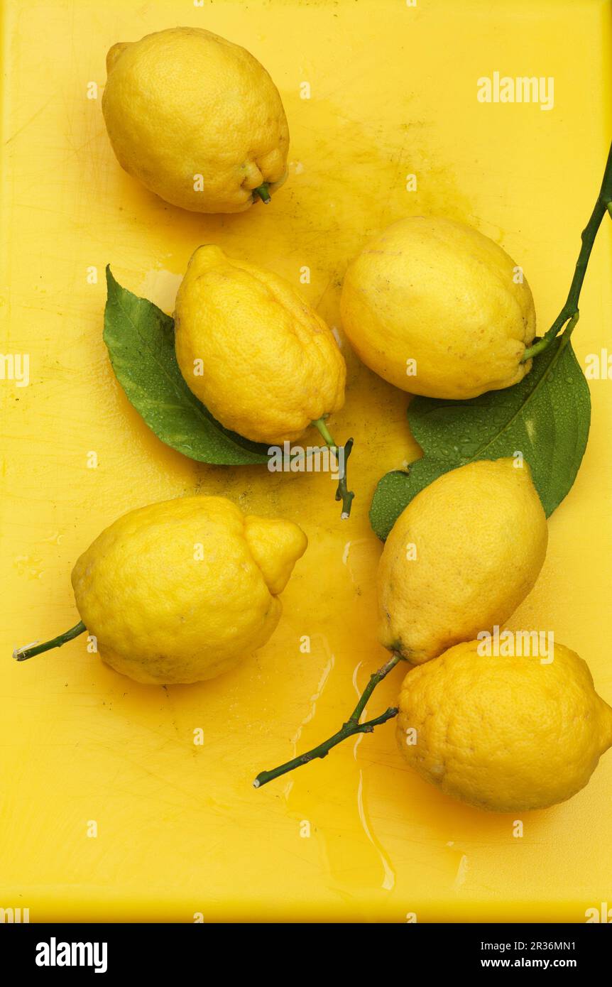 Citrons frais sur fond jaune Banque D'Images