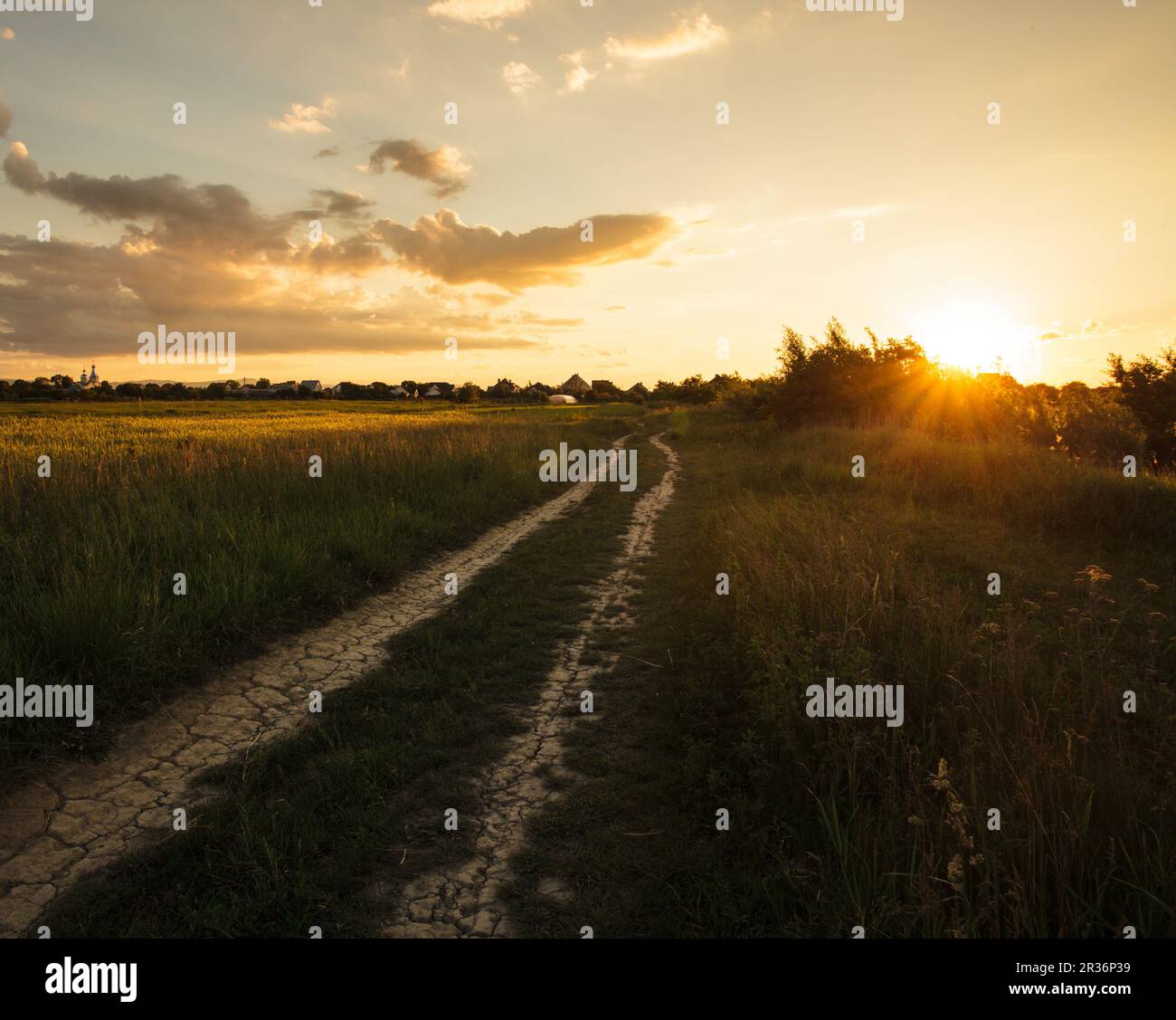 Matin Rural landscape Banque D'Images