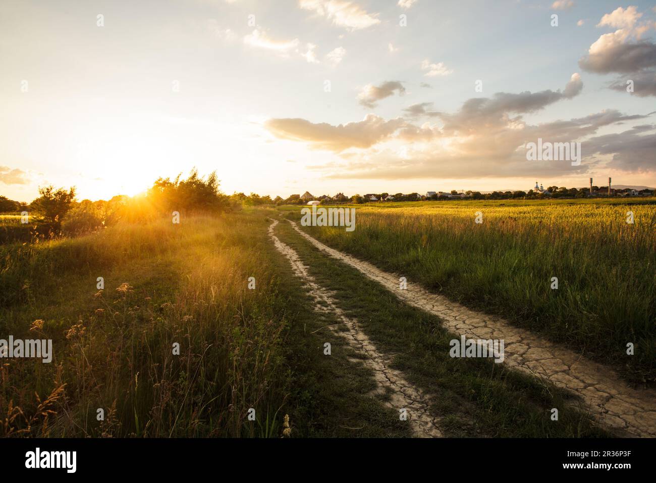 Matin Rural landscape Banque D'Images