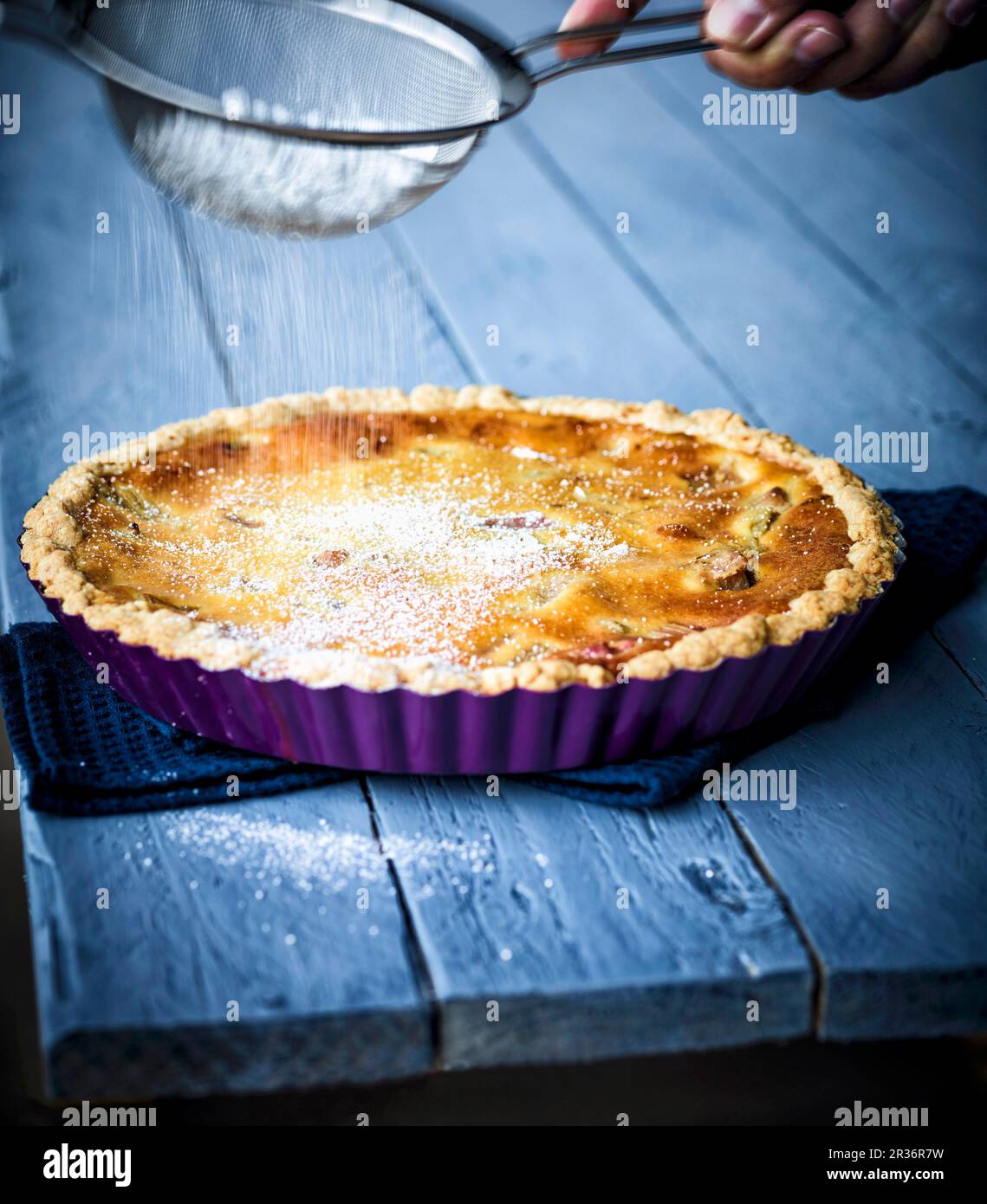 Tarte à la rhubarbe saupoudrée de sucre glace Banque D'Images