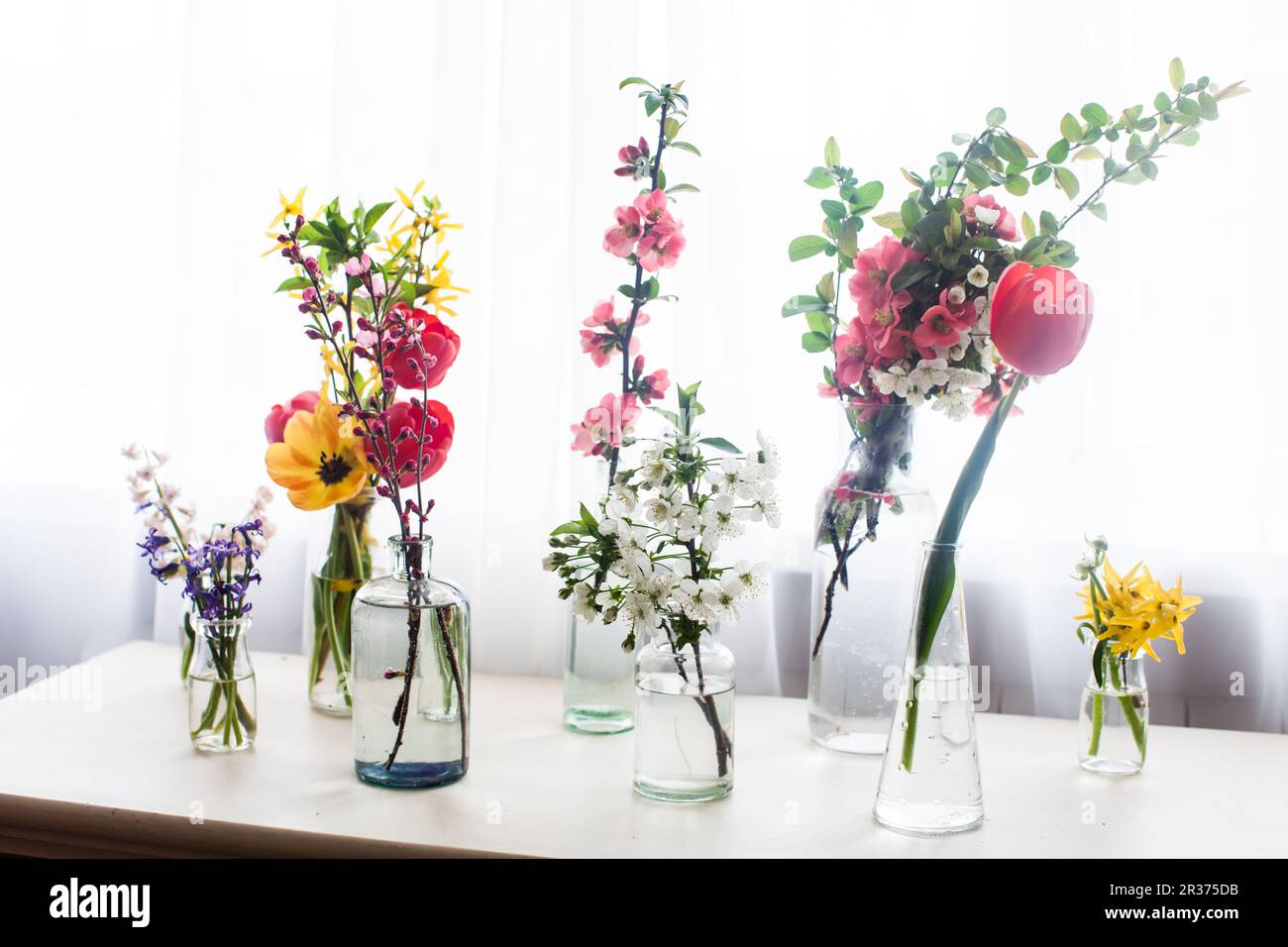 Belles fleurs différentes dans des bocaux avec de l'eau sur la table près de la fenêtre Banque D'Images