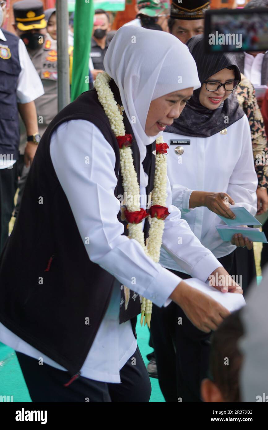 Khofifah Indar Parawansa (gouverneur de l'est de Java) à l'occasion du festival sumerasri durien Banque D'Images