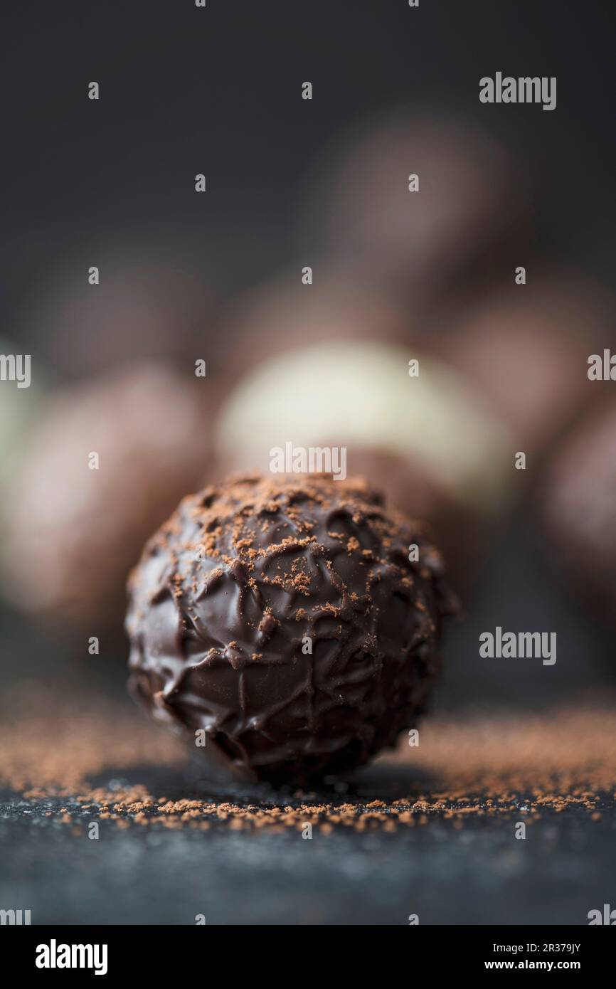 Praline truffes à la poudre de cacao Banque D'Images
