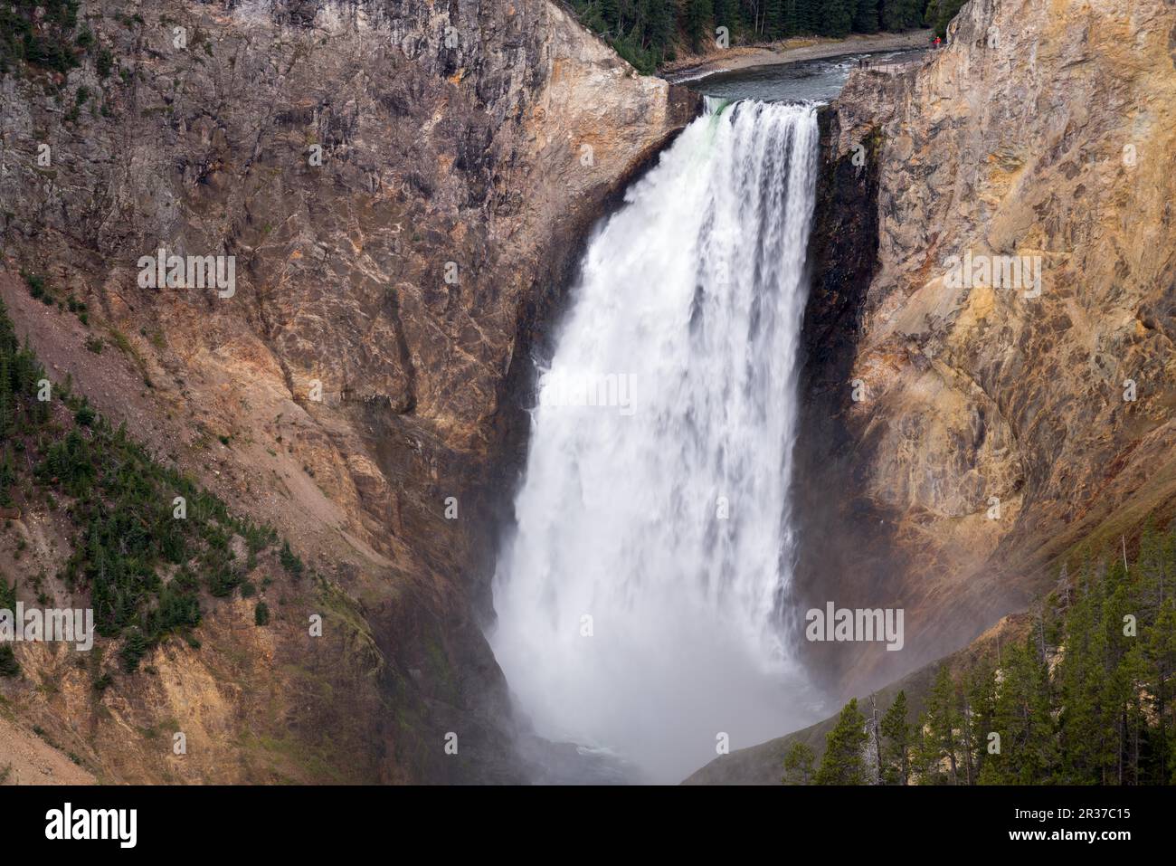 Voir plus bas des chutes de Yellowstone Photo Stock - Alamy