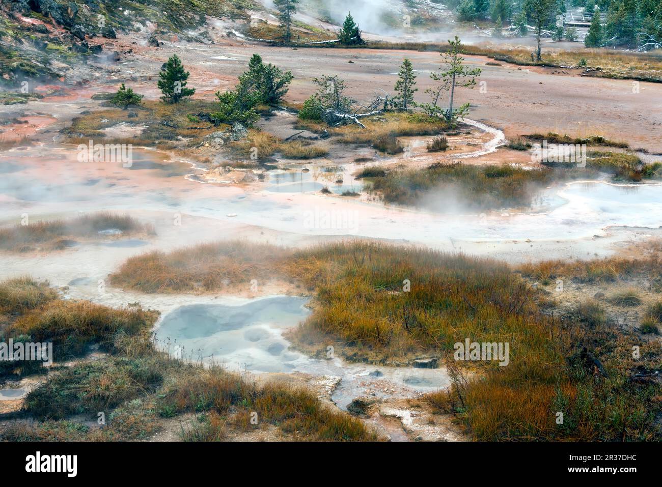 Vue de l'artiste les pots de peinture Yellowstone Banque D'Images