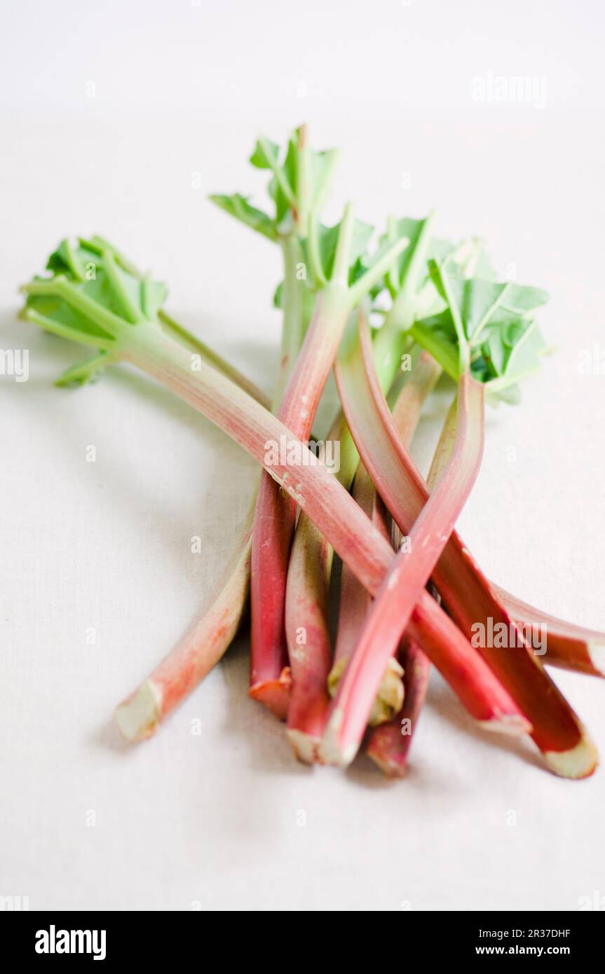 Plusieurs bâtons de rhubarbe Banque D'Images