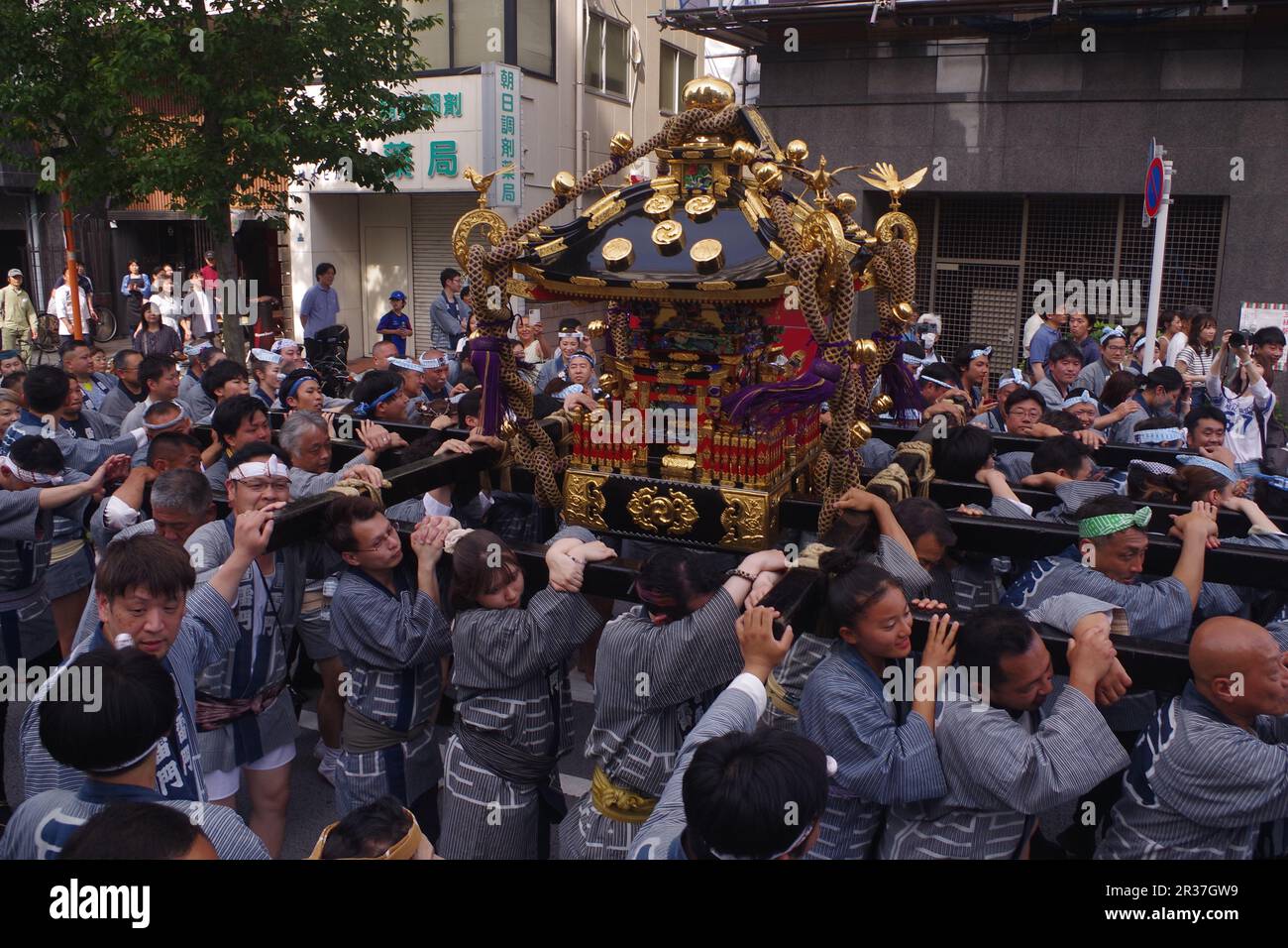 Porter le mikoshi (Sanctuaire portable) au festival de Sanja à Asakusa, Tokyo, Japon Banque D'Images