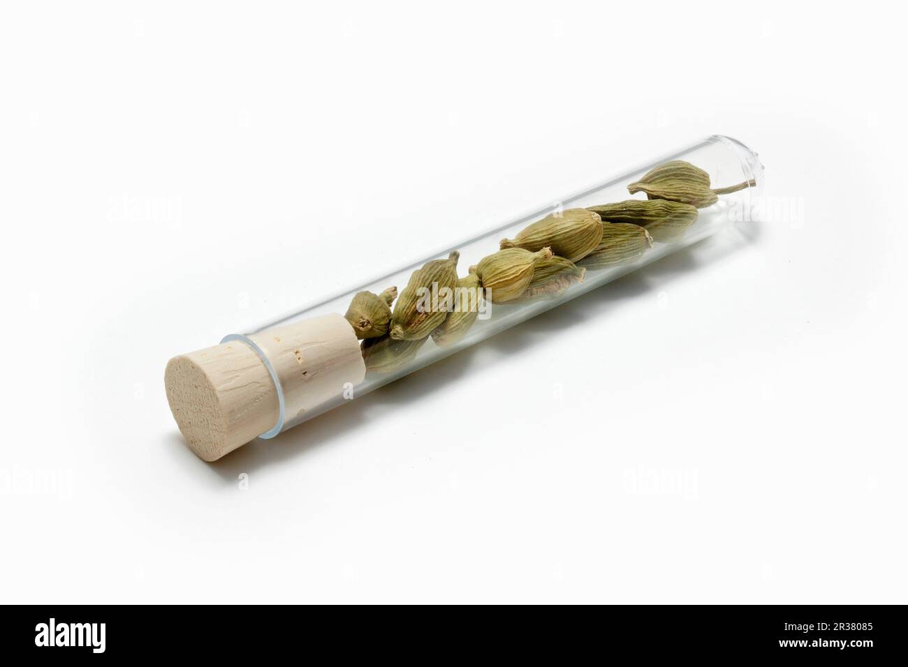 Cardamome dans un tube à essai Banque D'Images
