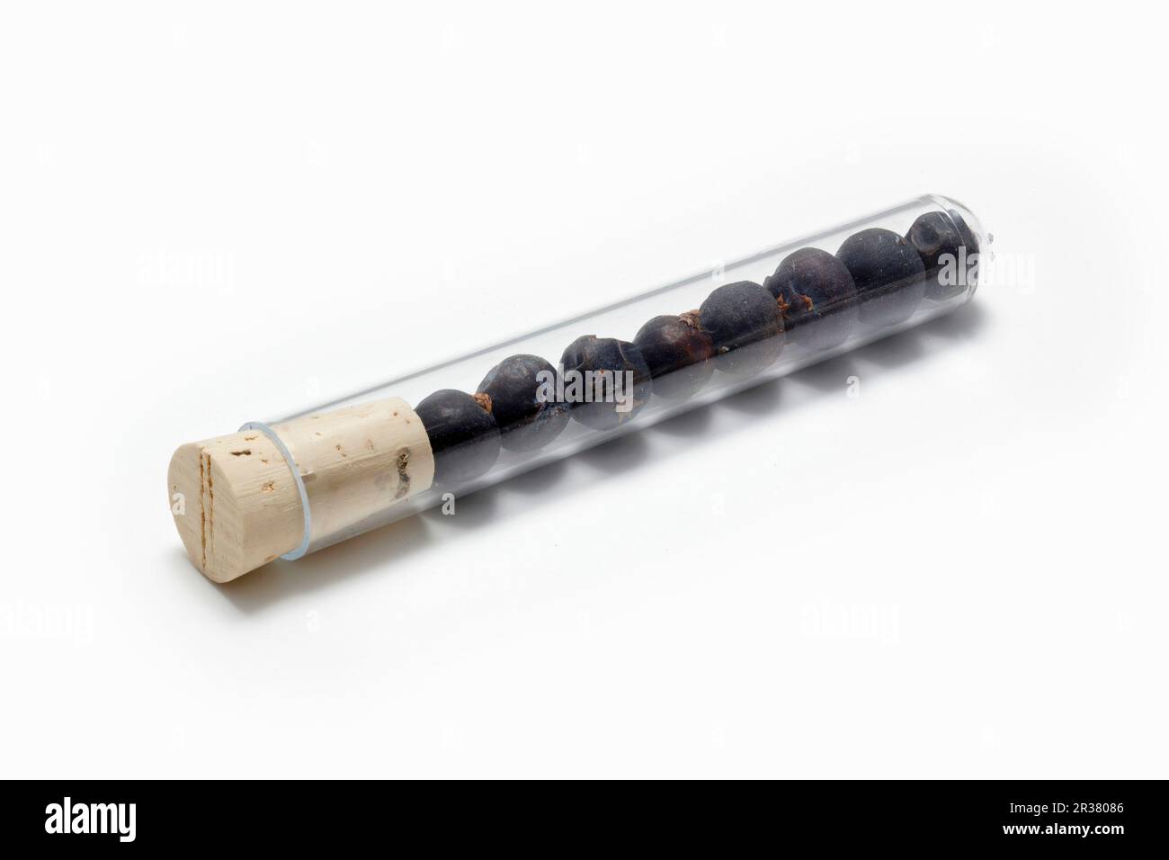 Baies de genévrier dans un tube à essai Banque D'Images