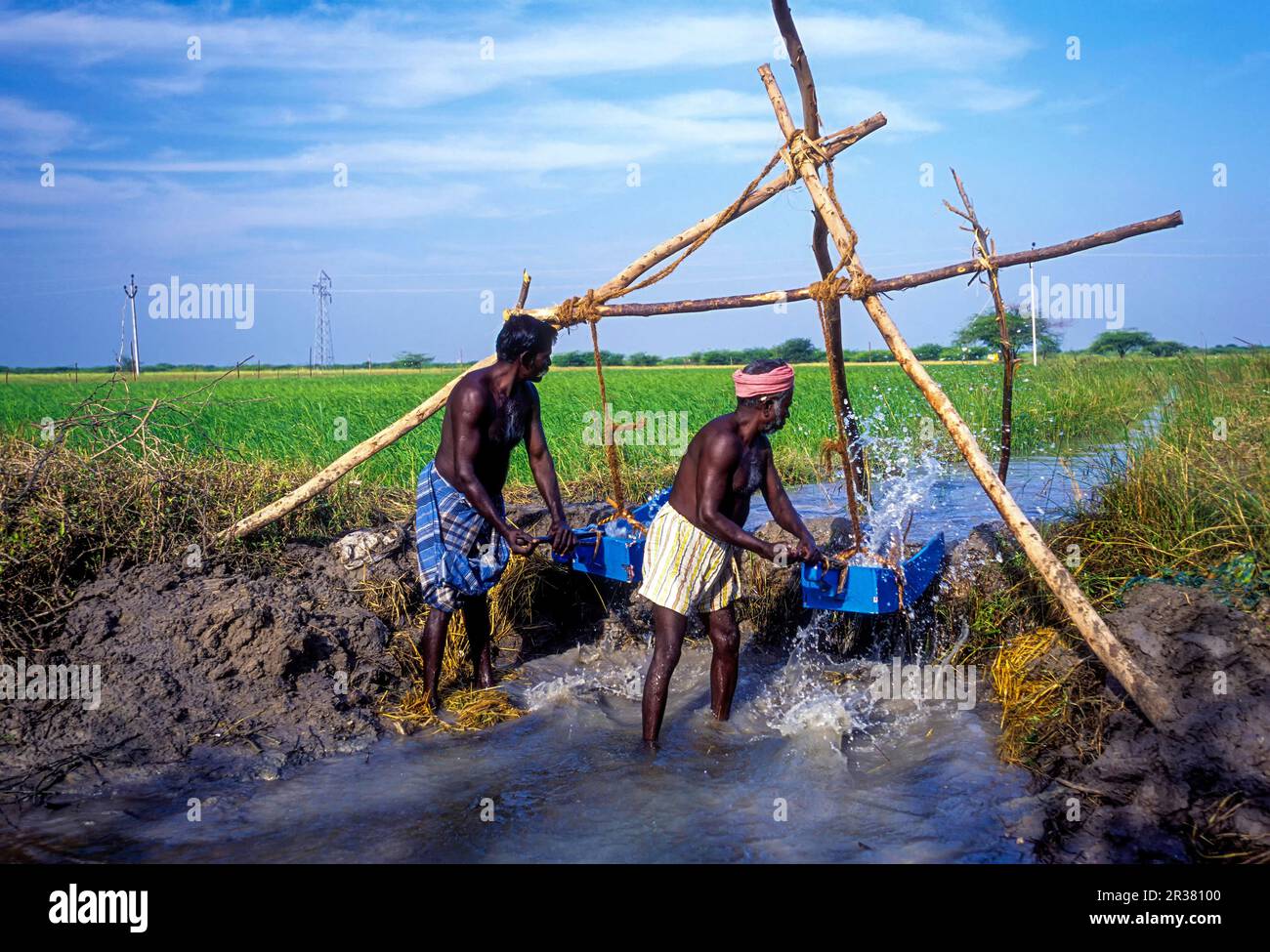 Irrigation par méthode traditionnelle à travers des seaux en bois près de Ramanathapuram, Tamil Nadu, Inde du Sud, Inde, Asie Banque D'Images