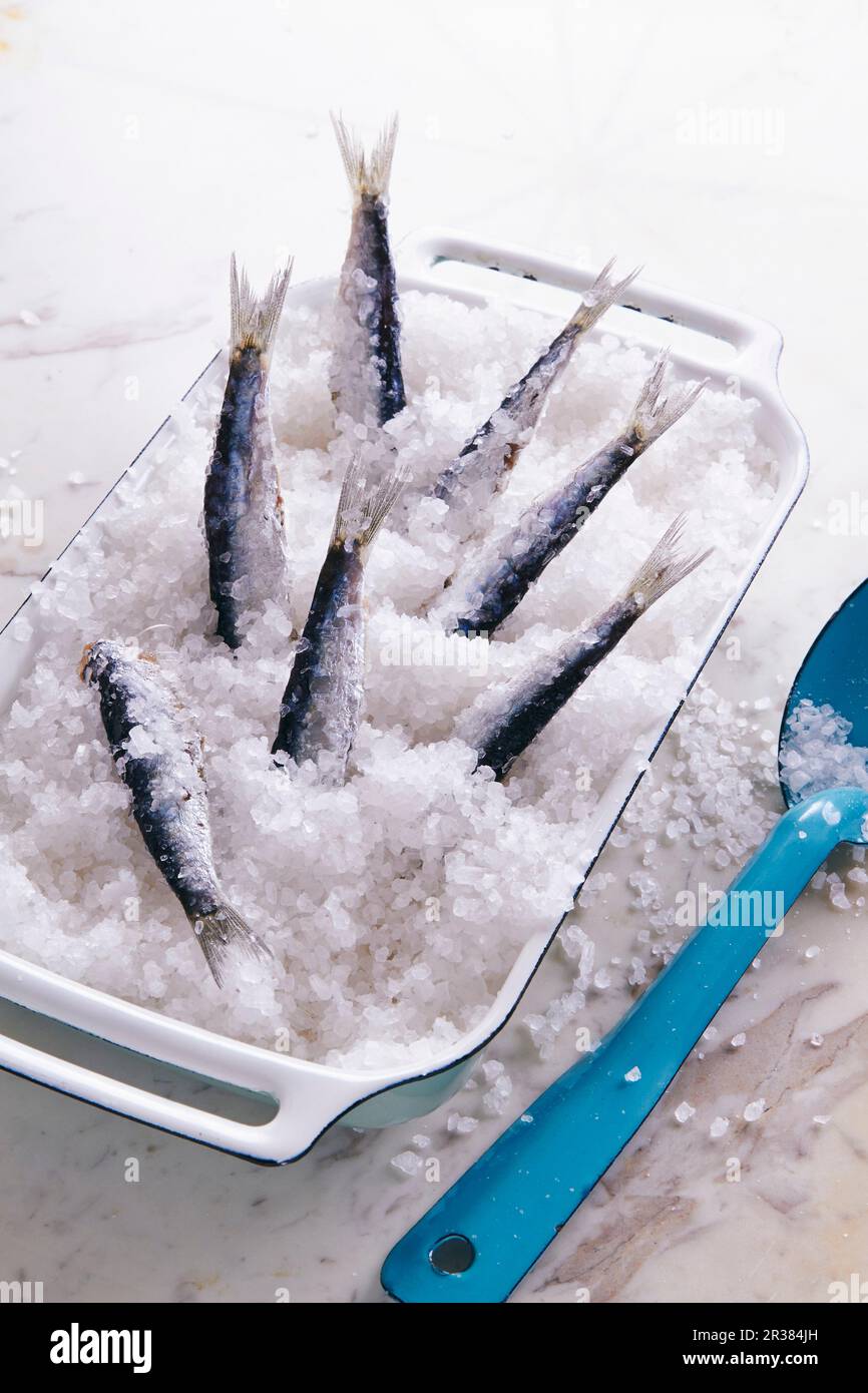 Sardines sur un lit de sel Banque D'Images