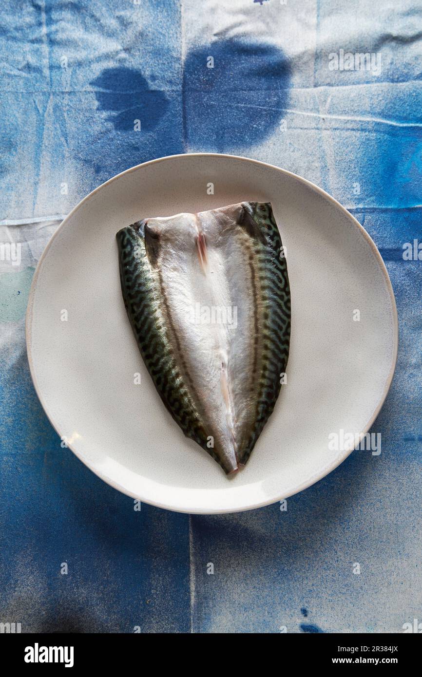 Un filet de maquereau brut sur une plaque (vue de dessus) Banque D'Images