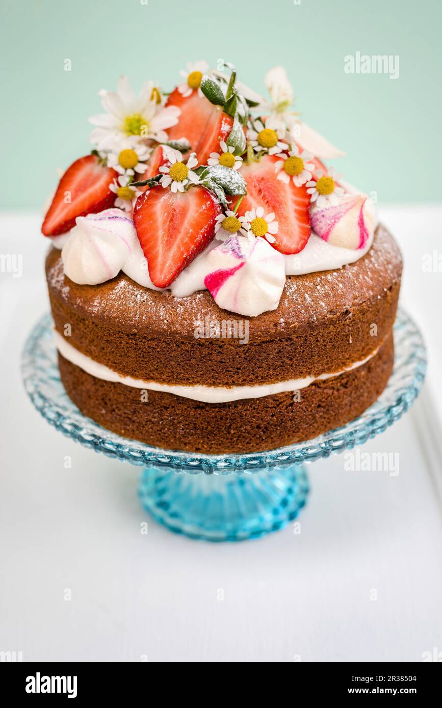 Gâteau à la vanille végétalienne Banque D'Images
